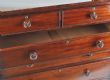 WILLIAM IV MAHOGANY CHEST OF DRAWERS at Ross's Online Art Auctions