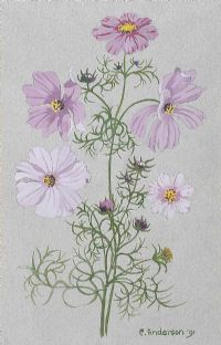 COSMOS by Cicely Anderson at Ross's Online Art Auctions