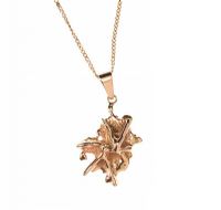 22CT GOLD PENDANT ON 14CT GOLD CHAIN at Ross's Online Art Auctions
