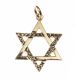 9CT GOLD 'LIFE SIGN' AND 'STAR OF DAVID' at Ross's Online Art Auctions