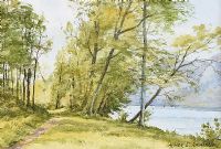 CASTLEDARE FOREST PARK, COLERAINE by Aylmer E. Armstrong UWS at Ross's Online Art Auctions