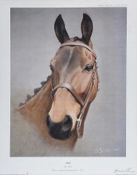 ARKLE by Des Snee at Ross's Online Art Auctions