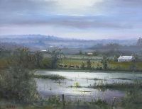 FLOODED FIELDS, LOUGHGALL by David Jess at Ross's Online Art Auctions