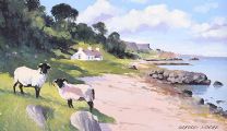 SHEEP AT MURLOUGH BAY by Gregory Moore at Ross's Online Art Auctions
