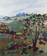 TREES & FIELDS, BALLYMORE by Ian Gordon at Ross's Online Art Auctions