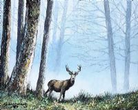 STAG IN THE MIST by Andy Saunders at Ross's Online Art Auctions