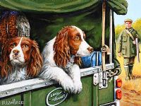 SPRINGERS IN A LANDROVER by Roy Wallace at Ross's Online Art Auctions