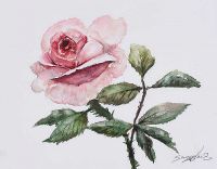 PINK ROSE by Andy Saunders at Ross's Online Art Auctions