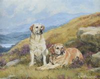 YELLOW LABRADORS by Glynn Williams at Ross's Online Art Auctions