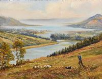 CARLINGFORD LOUGH FROM FLAGSTAFF by Vittorio Cirefice at Ross's Online Art Auctions
