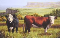 CATTLE NEAR FAIRHEAD by Keith Glasgow at Ross's Online Art Auctions