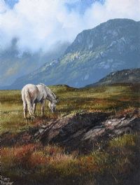 PONY ON ROUNDSTONE BOG, CONNEMARA by Eileen Meagher at Ross's Online Art Auctions