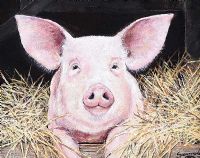OINK OINK by Andy Saunders at Ross's Online Art Auctions