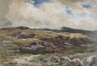 MOORLAND, NORTH WALES by Wycliffe Egginton RI RCA at Ross's Online Art Auctions
