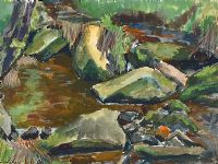THE ROCK POOL by Robert Taylor Carson RUA at Ross's Online Art Auctions