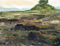 BOG & LANDSCAPE by Rachel Grainger Hunt at Ross's Online Art Auctions