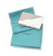 TIFFANY & CO STERLING SILVER BUSINESS CARD CASE at Ross's Online Art Auctions