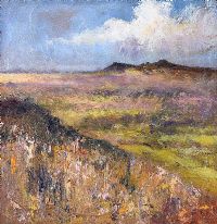 THE COOLCROSS HILLS FROM DUBLIN by Jim Holmes at Ross's Online Art Auctions