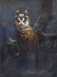 STUDY OF AN OWL by Julian Friers RUA at Ross's Online Art Auctions