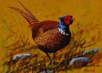 PHEASANT by Ronald Keefer at Ross's Online Art Auctions