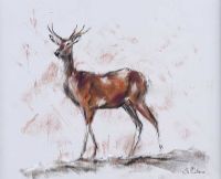 ROE DEER by Lawrence Chambers at Ross's Online Art Auctions