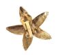 VINTAGE COSTUME STARFISH EARRINGS at Ross's Online Art Auctions