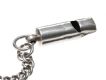 STERLING SILVER ALBERT CHAIN AND WHISTLE at Ross's Online Art Auctions