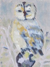 STUDY OF AN OWL by Irish School at Ross's Online Art Auctions
