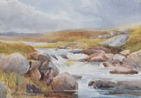 THE ROCKY WATERFALL by Clara Irwin at Ross's Online Art Auctions