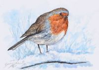 ROBIN IN THE SNOW by Andy Saunders at Ross's Online Art Auctions