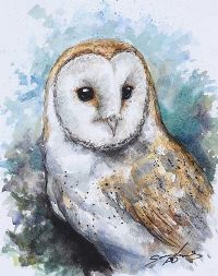 BARN OWL by Andy Saunders at Ross's Online Art Auctions