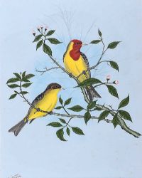 BIRD STUDY, EUSPIZA LETEOLA by William Houston at Ross's Online Art Auctions
