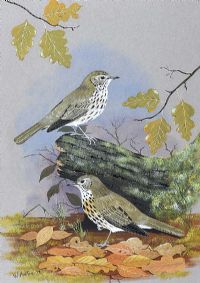 BIRD STUDY by William Houston at Ross's Online Art Auctions