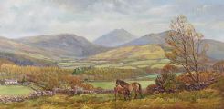 MARE & FOAL GRAZING IN THE MOURNES by Vittorio Cirefice at Ross's Online Art Auctions