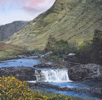 AASLEAGH FALLS, COUNTY MAYO by Anthony Doyle at Ross's Online Art Auctions