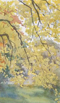 OVER HANGING TREES by Lydia de Burgh RUA UWS at Ross's Online Art Auctions