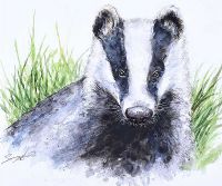 THE BADGER by Andy Saunders at Ross's Online Art Auctions