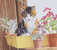 CAT BY THE FLOWERS by Marie Curran at Ross's Online Art Auctions