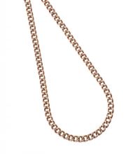 9CT GOLD NECKLACE WITH HINGE CLASP at Ross's Online Art Auctions