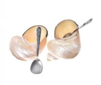 PAIR OF TURBO CHRYSOSTOMUS SHELL CAVIAR SERVERS WITH TWO SILVER SPOONS at Ross's Online Art Auctions