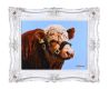 BULL ON BLUE by Ronald Keefer at Ross's Online Art Auctions