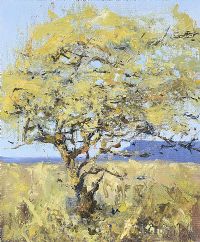 FAIRY THORN NEAR BINEVENAGH by Jim Holmes at Ross's Online Art Auctions