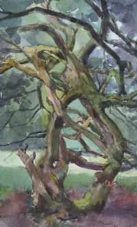 THE OAK TREE by Coralie de Burgh Kinahan at Ross's Online Art Auctions