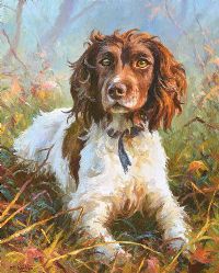 SPRINGER IN THE WOODS by Donal McNaughton at Ross's Online Art Auctions
