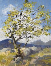 FAIRY THORN by Jim Holmes at Ross's Online Art Auctions
