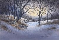 SNOW IN THE WOODS by Martin D. Cooke at Ross's Online Art Auctions