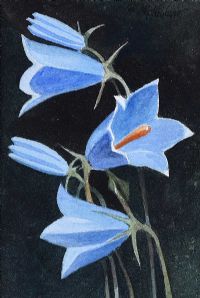STILL LIFE, FLOWER by William McKibbin at Ross's Online Art Auctions
