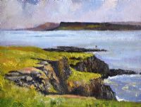 RUE POINT, RATHLIN ISLAND by Jim Holmes at Ross's Online Art Auctions
