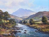 SHIMNA RIVER, MOURNES by William Yeaman at Ross's Online Art Auctions