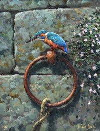 KINGFISHER by Julian Friers RUA at Ross's Online Art Auctions